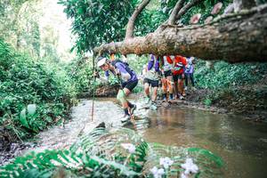 BIB: 
                            <button type="button" onclick="openModal(25476068)" class="btn btn-primary btn-sm float-right btn-popup" data-toggle="modal" data-target=".modal-high-quality">
                        <i class="fas fa-shopping-cart"></i> Add to Cart
                    </button>
                                            <button type="button" onclick="isThisMe(25476068, true)" class="btn btn-success btn-sm float-right btn-popup btn-isme hidden" data-toggle="tooltip" data-placement="bottom" title="นี่คือรูปของคุณใช่ไหม คลิกที่นี่เพื่อเอาเข้าอัลบั้ม">
                        <i class="fas fa-plus"></i> Add to album
                    </button>
                    <button type="button" onclick="isThisMe(25476068, false)" class="btn btn-warning btn-sm float-right btn-popup btn-isnotme hidden">
                        <i class="fas fa-ban"></i> Remove from album
                    </button>